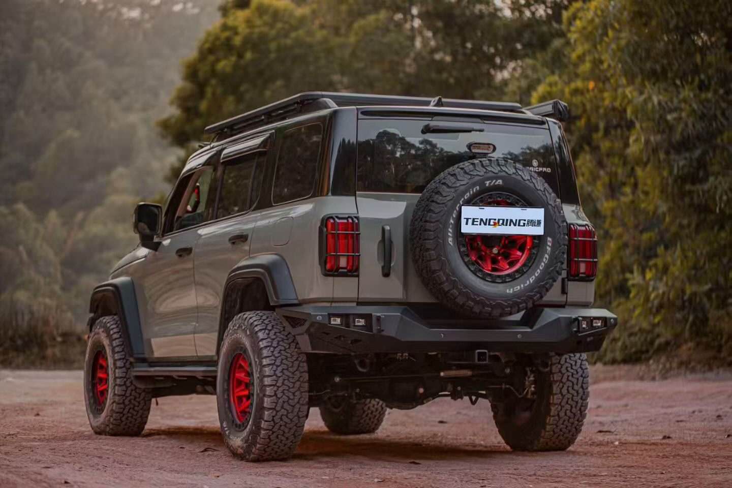 Tank 300 TENGQING Bull Bar