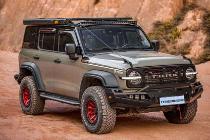 Tank 300 TENGQING Bull Bar