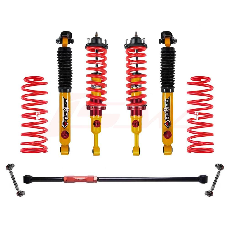 Tank 300 Mamba Oil Suspension Kit