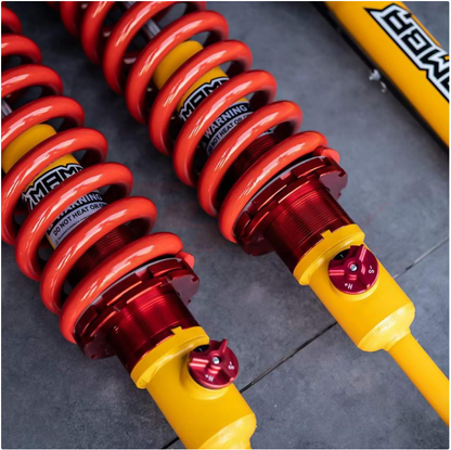 Tank 300 Mamba Oil Suspension Kit
