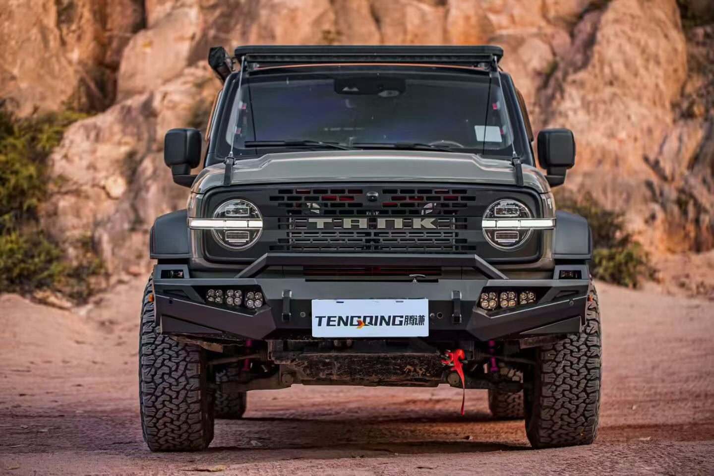 Tank 300 TENGQING Bull Bar