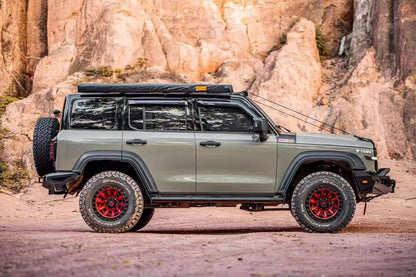 Tank 300 TENGQING Bull Bar